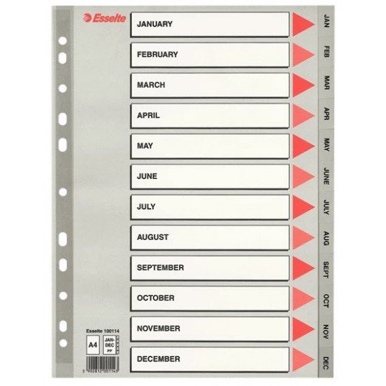 Separator plastic A4 calendaristic ian-dec Esselte 100114