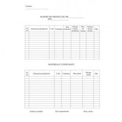 Raport de productie A4 vertical 9 coloane Raport de productie A4 vertical 9 coloane