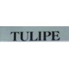 Tulipe